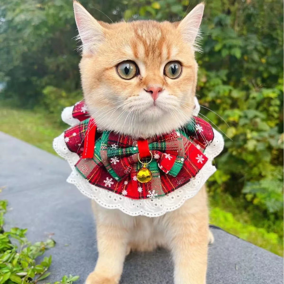 Festive Christmas Cat Collar with Jingle Bells - Washable Bandana Bib for Small Dogs and Cats